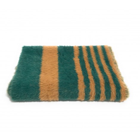 Sciarpa Fracomina con stampa righe Marrone/ verde C23FR21 FA22WA3005W489F8-L51
