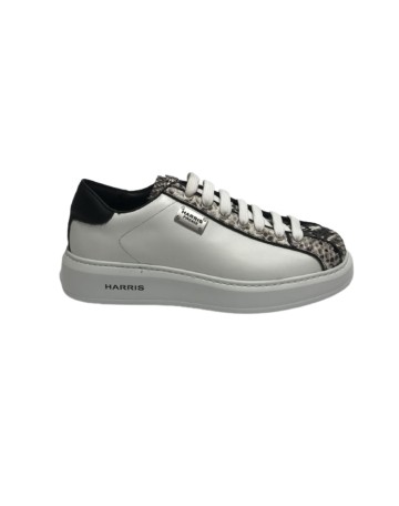 Scarpe uomo Harris Sport sneakers in pelle pregiata roccia/ bianco/ nero U17HA186